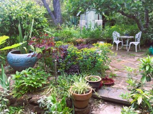 A garden with paving and colourful plants.